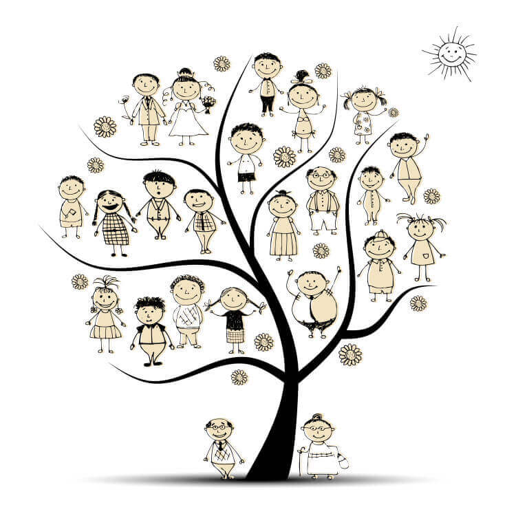 家族の木：一人の患者さんを取り巻く家族の存在や状況に配慮しながら診療を行う事が重要であるという家庭医療学の考え方
